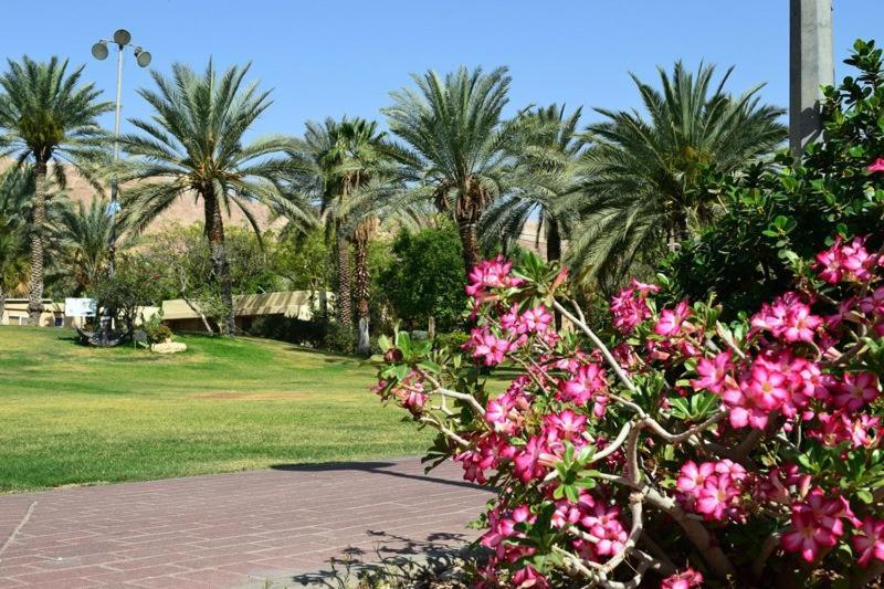 כפר נופש קלי"ה ים המלח Hotel Kalia Luaran gambar
