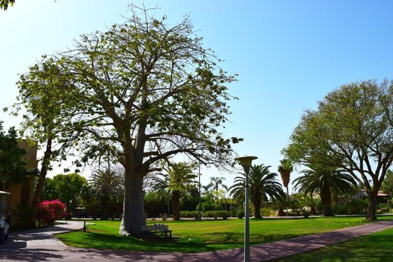 כפר נופש קלי"ה ים המלח Hotel Kalia Luaran gambar