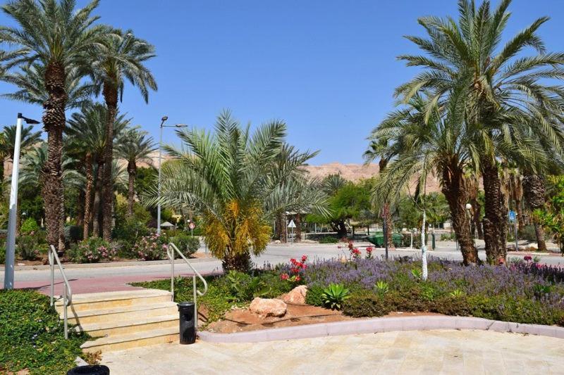 כפר נופש קלי"ה ים המלח Hotel Kalia Luaran gambar
