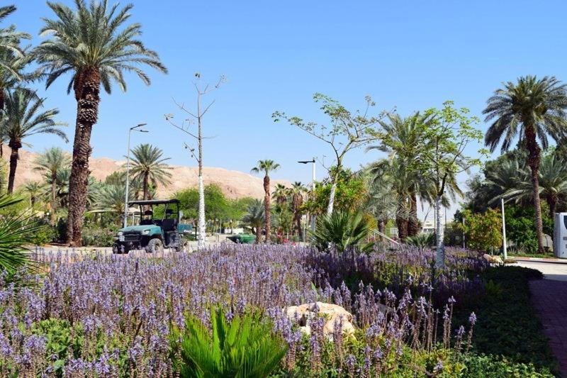 כפר נופש קלי"ה ים המלח Hotel Kalia Luaran gambar